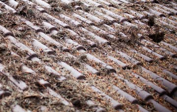 Chute Standen roof cleaning companies