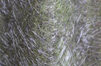 Chute Standen fibreglass roof work